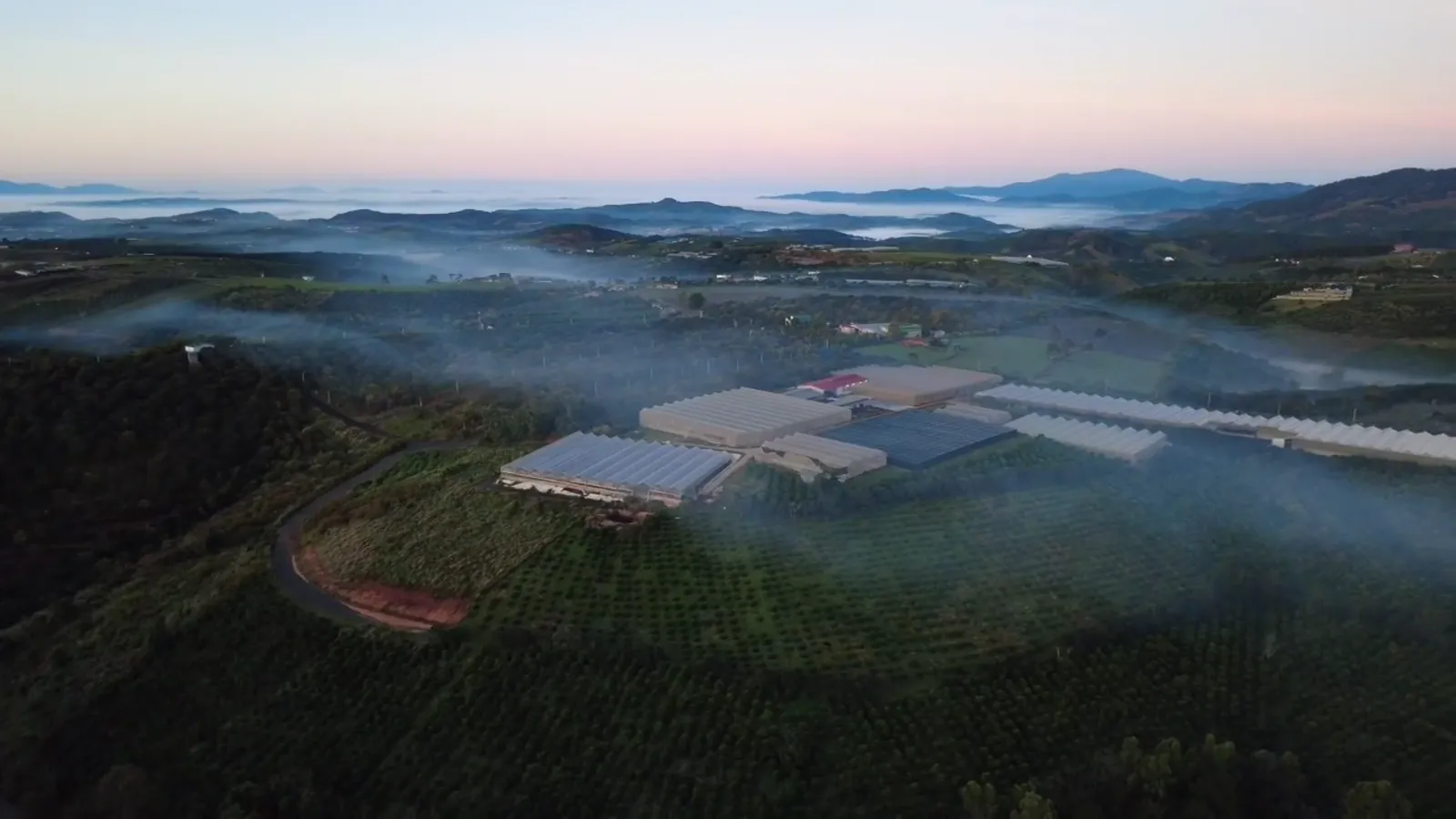 Nông trại Bui Origin trong sương sớm, Lâm Đồng