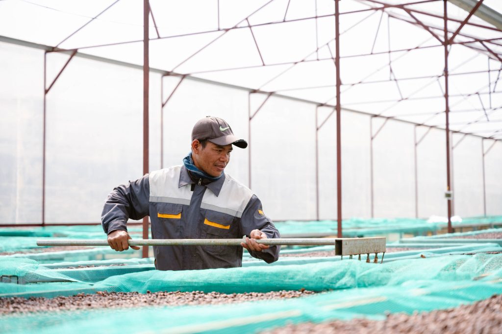 farm của Bui Coffee Supply
