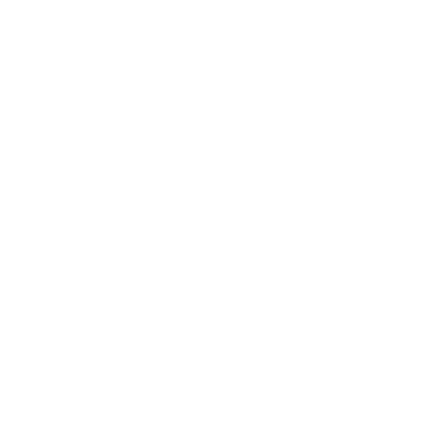 Bui Origin Logo