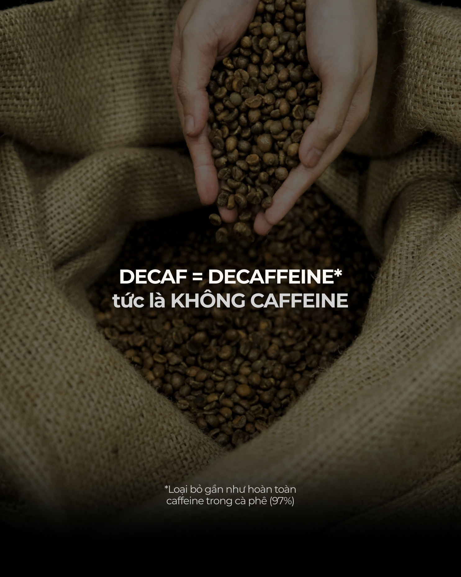 Fine Robusta Decaf