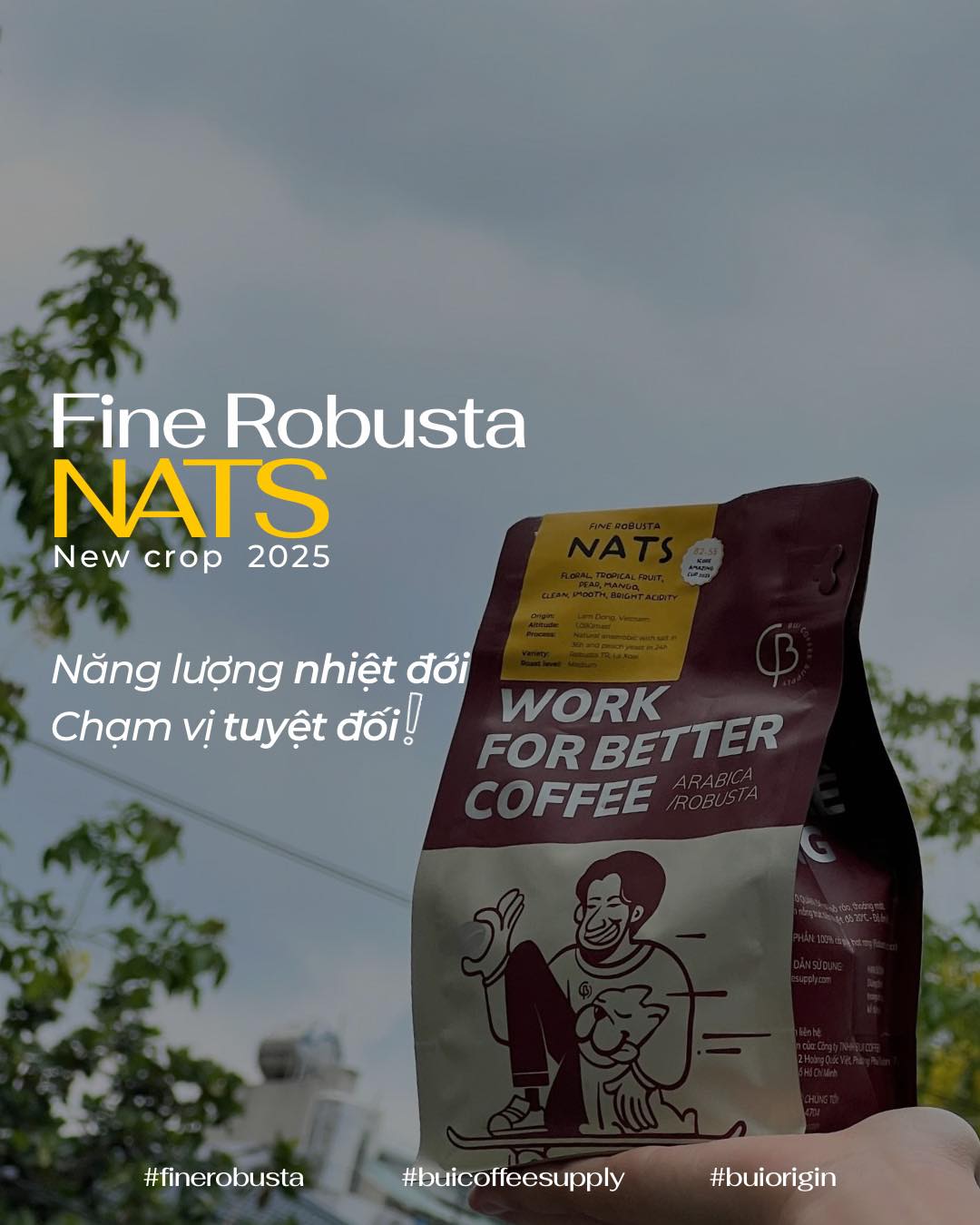 Fine Robusta NATS Dứa