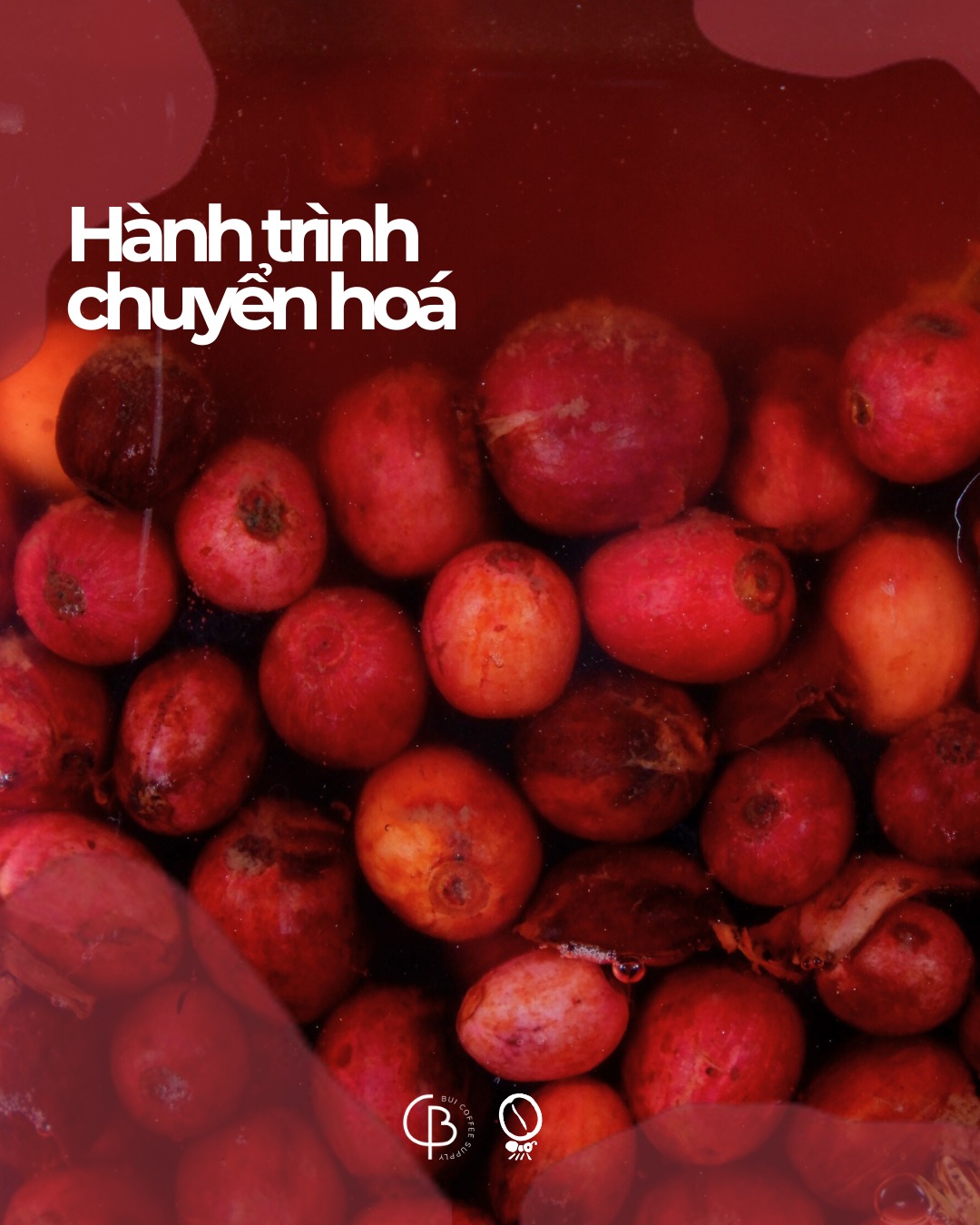 Hành trình chuyển hoá