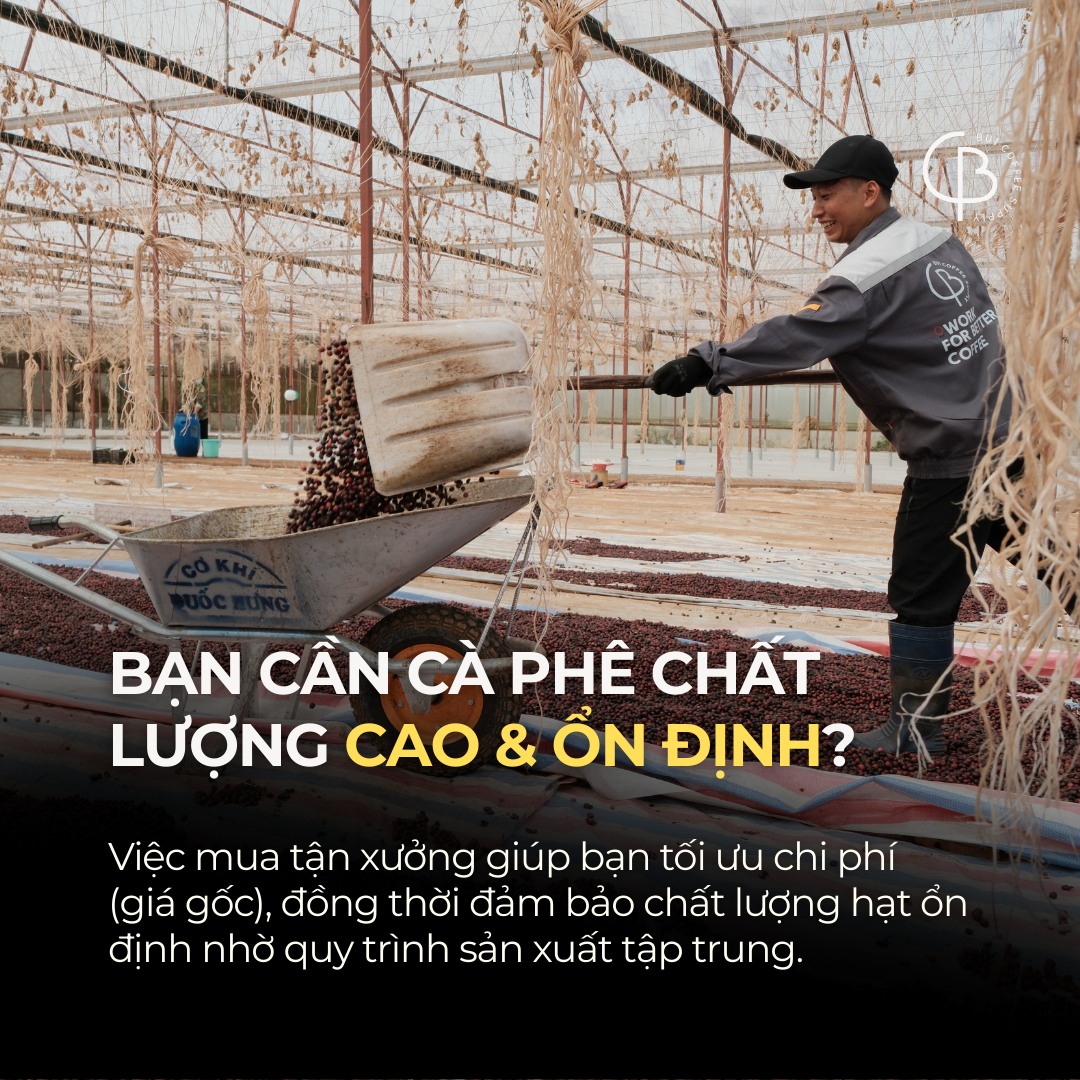 kiến thức chủ quán