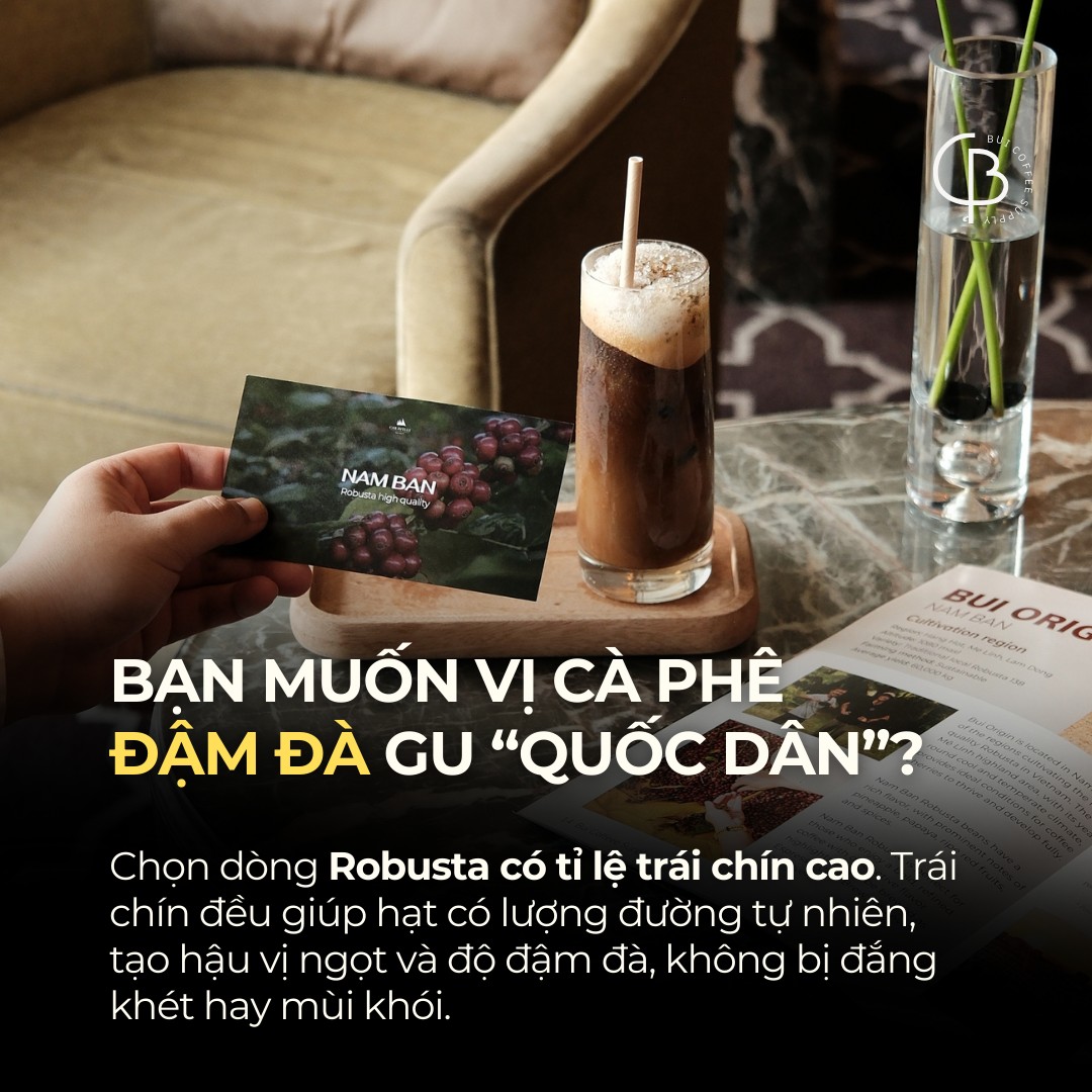 kiến thức chủ quán