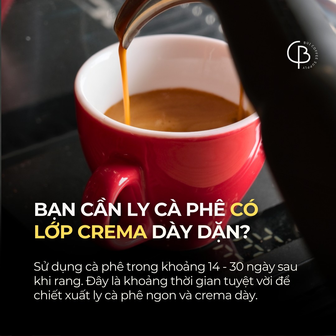 90% Chủ Quán Mới Không Rành Về Cà Phê