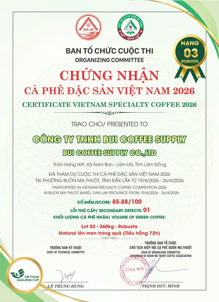 Vietnam Amazingcup 2026 - Gipee