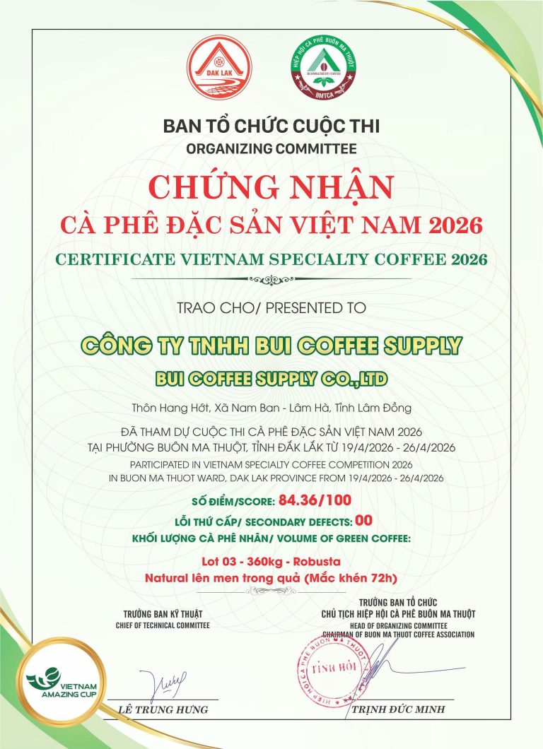 Vietnam Amazingcup 2026 - Nenwao