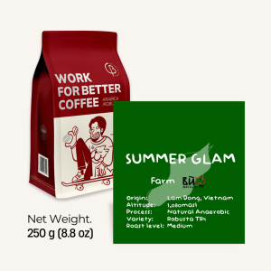 Fine Robusta Summer Glam