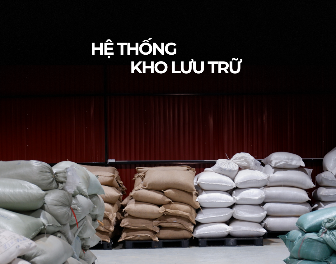 BẢO QUẢN CÀ PHÊ NHÂN XANH