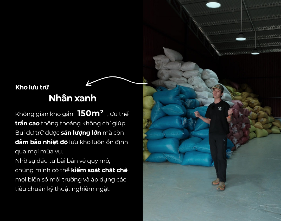BẢO QUẢN CÀ PHÊ NHÂN XANH