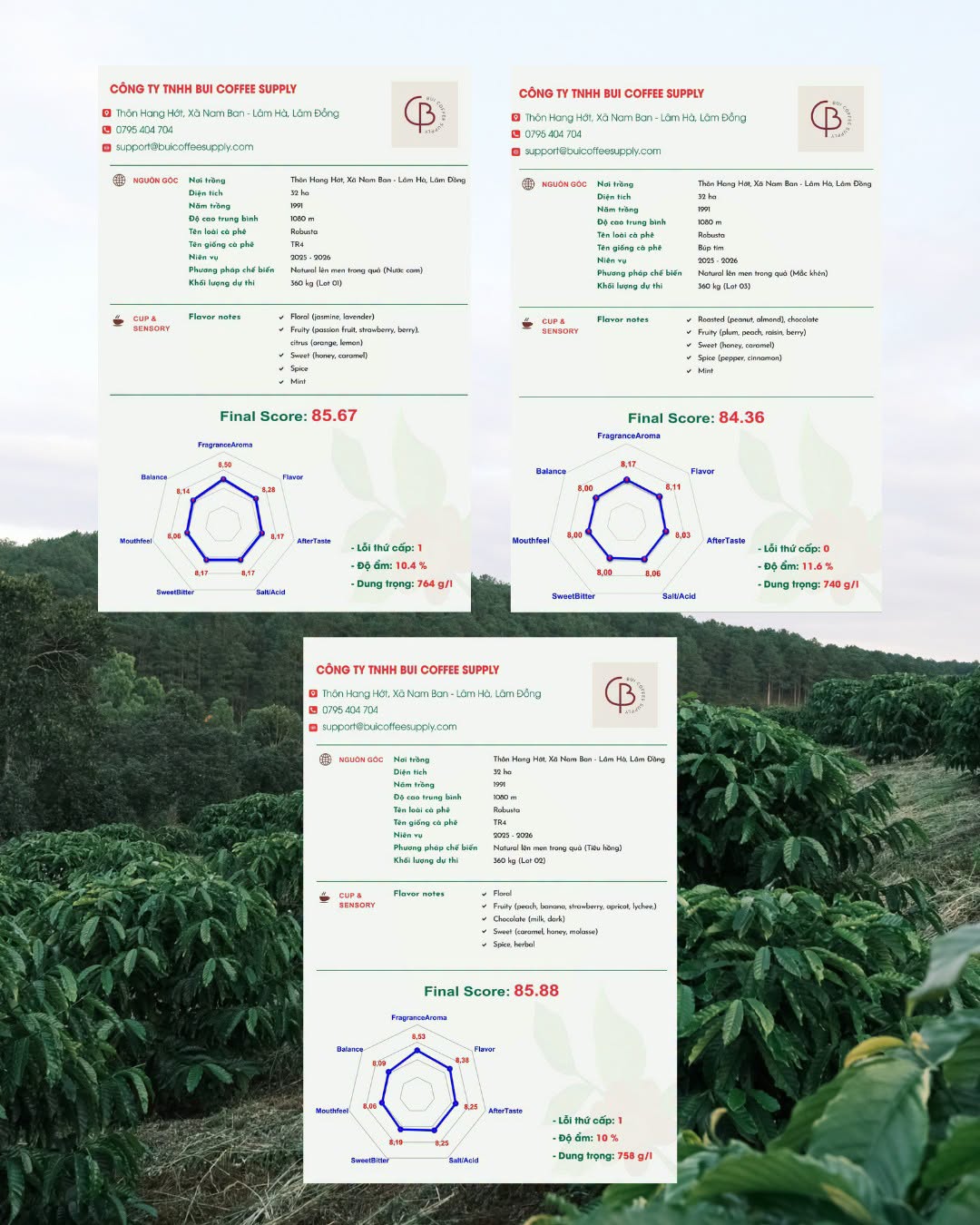 fine robusta được yêu thích nhất 2026