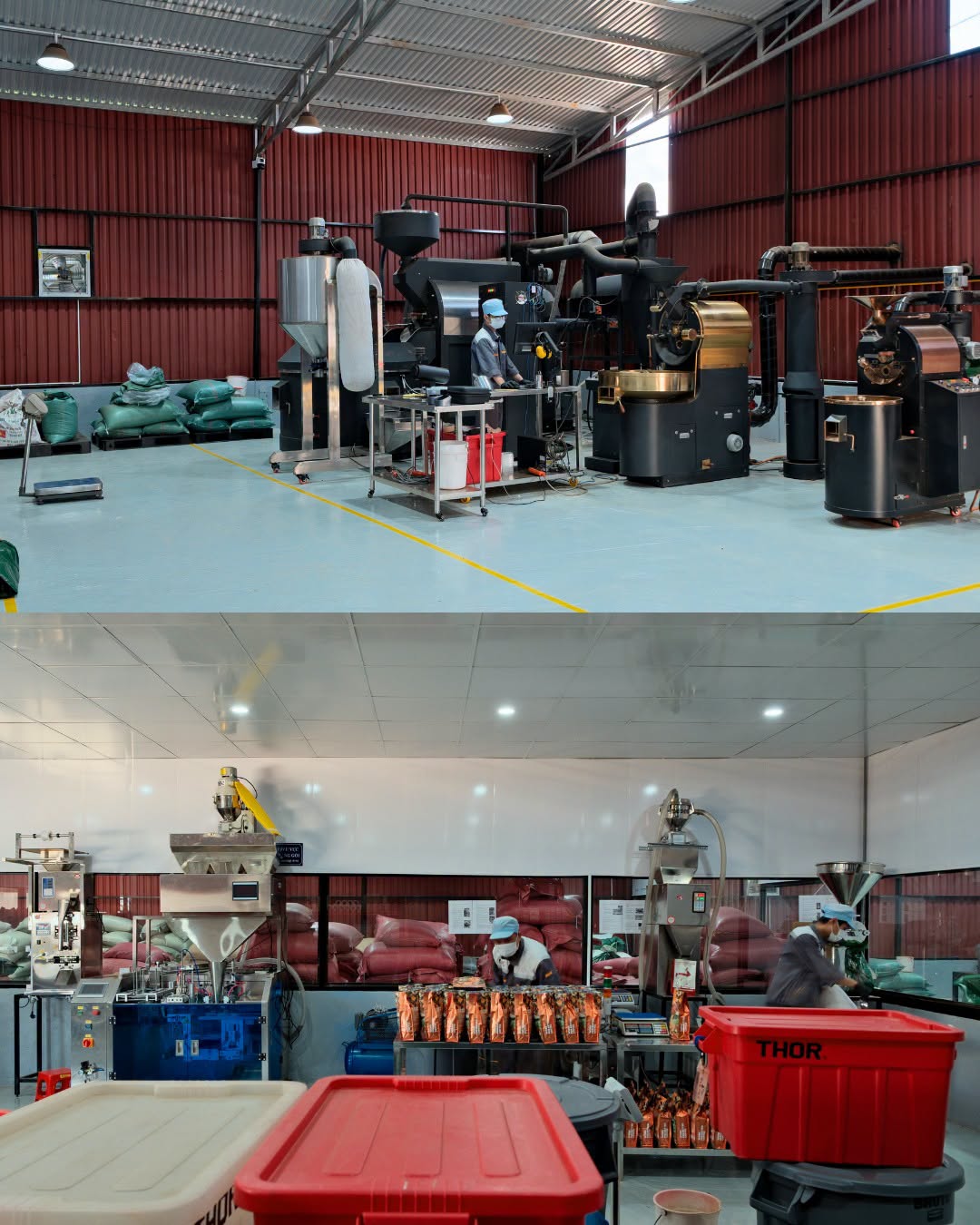 fine robusta được yêu thích nhất 2026